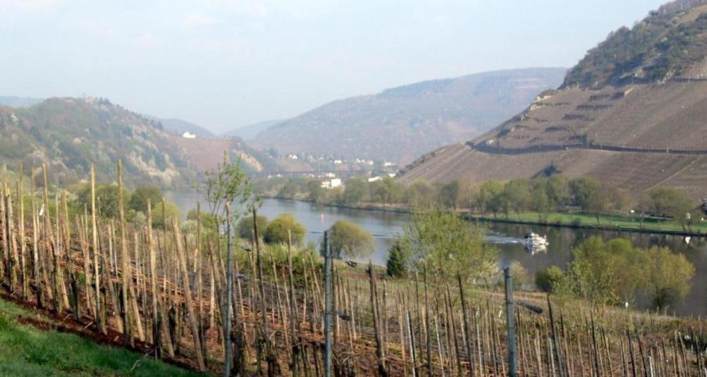 Panorama-Cafe Moselgarten Alf Luaran gambar